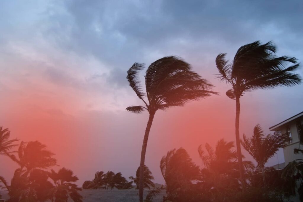Palm trees bend dramatically in high winds against an ominous pink and grey storm sky over residential rooftops.