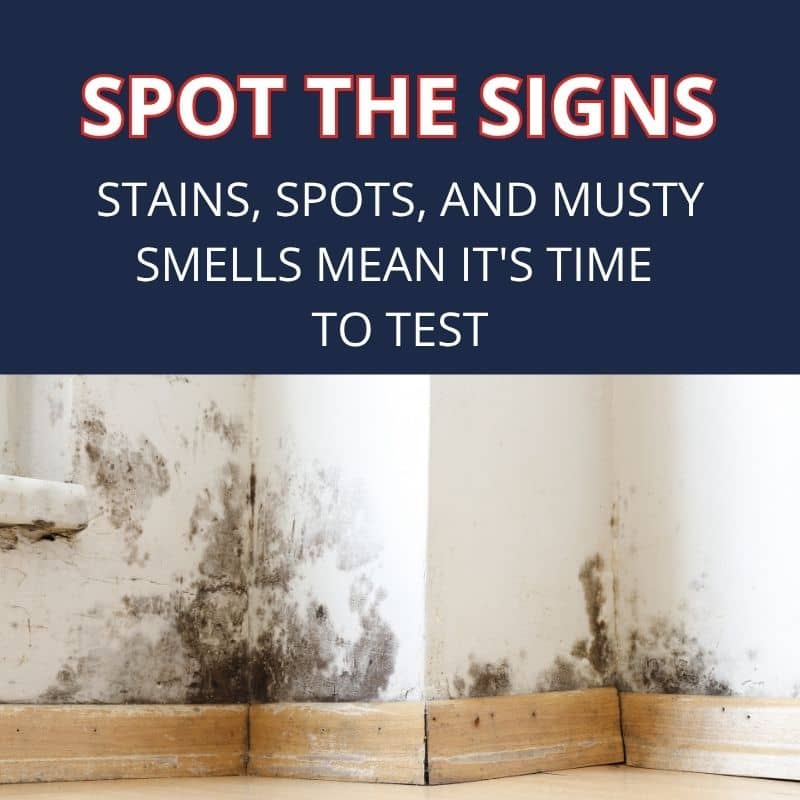Mold growing up drywall from the baseboards after water damage in a Florida home