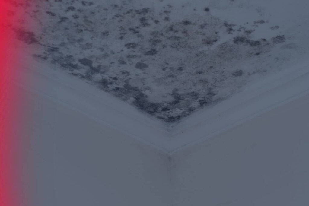 Mold growing in a wall corner, a visible sign you may need to test for mold in your house