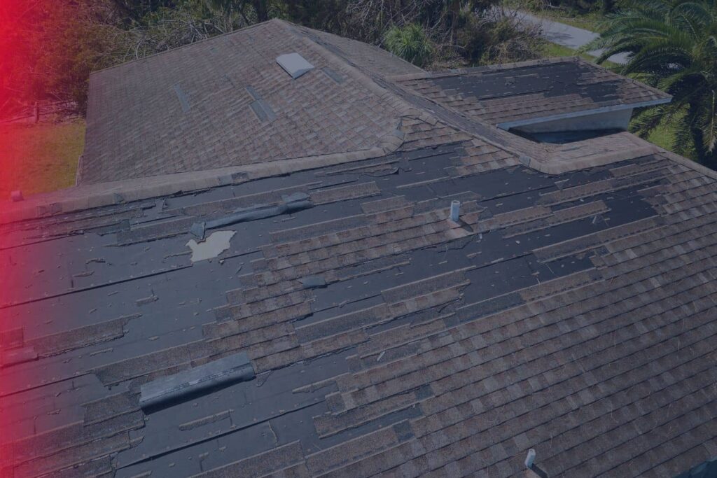 Damaged asphalt shingle roof with missing and lifted shingles, checked during a roof inspection for insurance in Florida